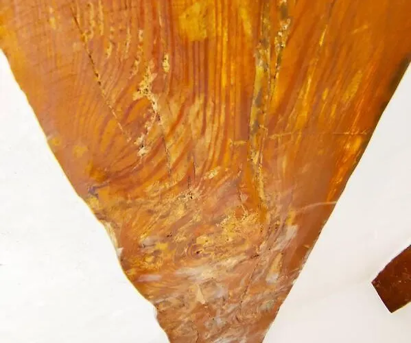 Cove 532 By Savynomad Harbour Residences Wow View Σπίτι διακοπών *